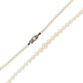 1959 MIKIMOTO PEARL NECKLACE W/ PEARL FOLDER.