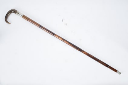 ANTIQUE CANE GUN.