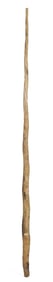 ANTIQUE NARWHAL TUSK, 76 INCHES.