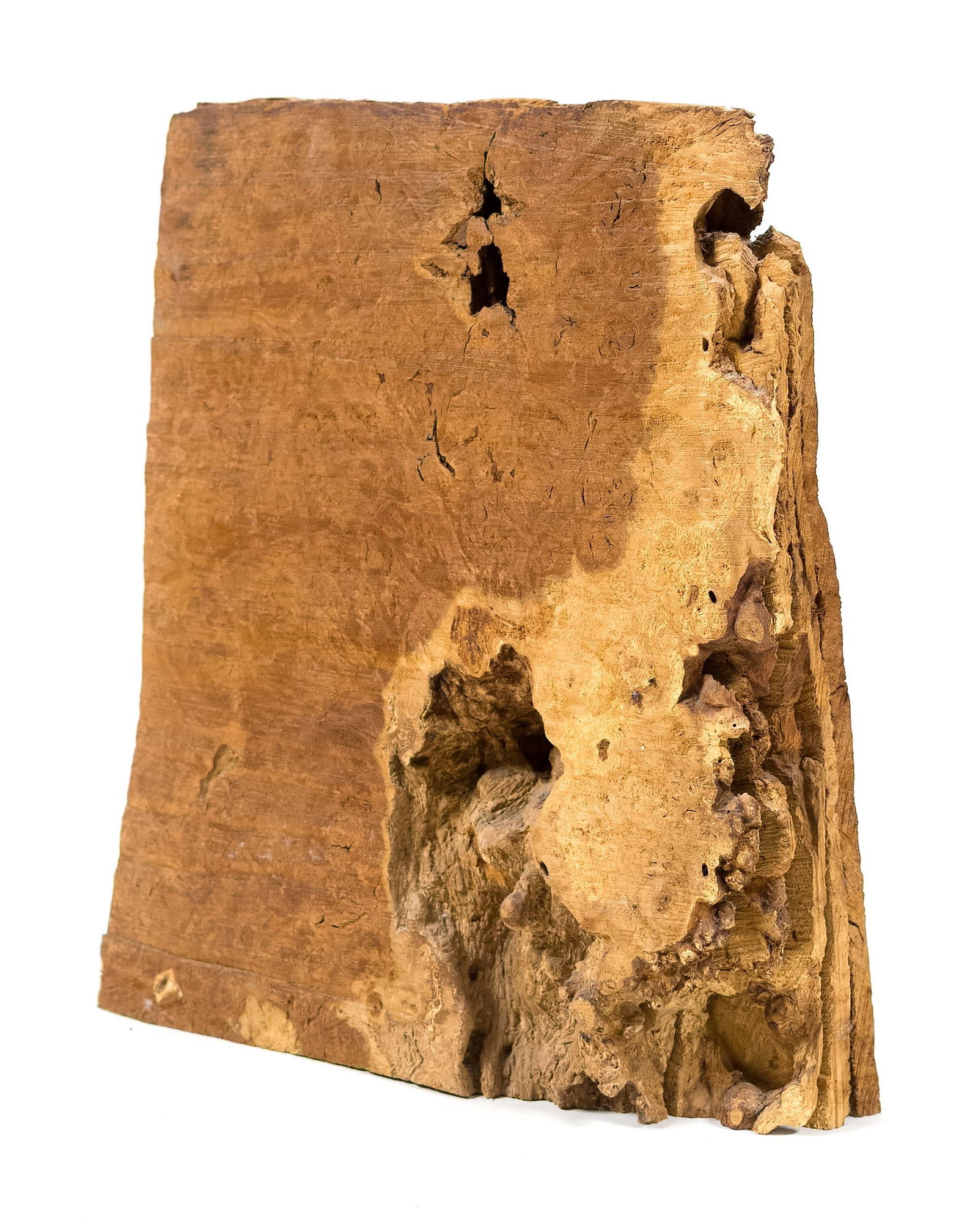 DAVID NASH WOODEN SCULPTURE, OAK PAGES.: A David Nash (b. 1945) carved wood sculpture, titled Oak Pages, signed on underside, David Nash 98, Oak. Includes original receipt. 18”H x 16”W x 5”D. Provenance: a Center Harbor,