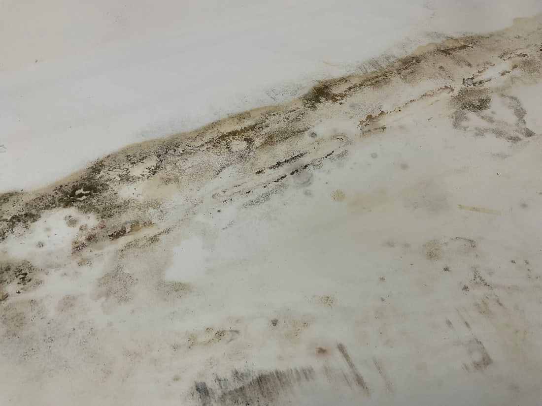 ROY LICHTENSTEIN SCREENPRINT, STILL LIFE, DAMAGED. - 16