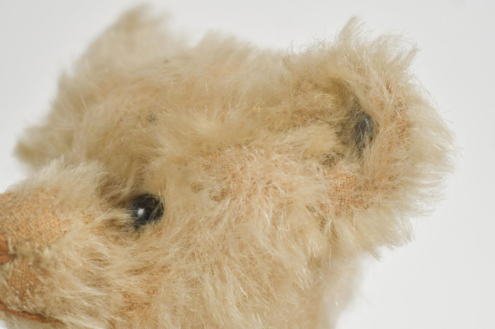ANTIQUE STEIFF MOHAIR BEAR, BLANK BUTTON. - 11