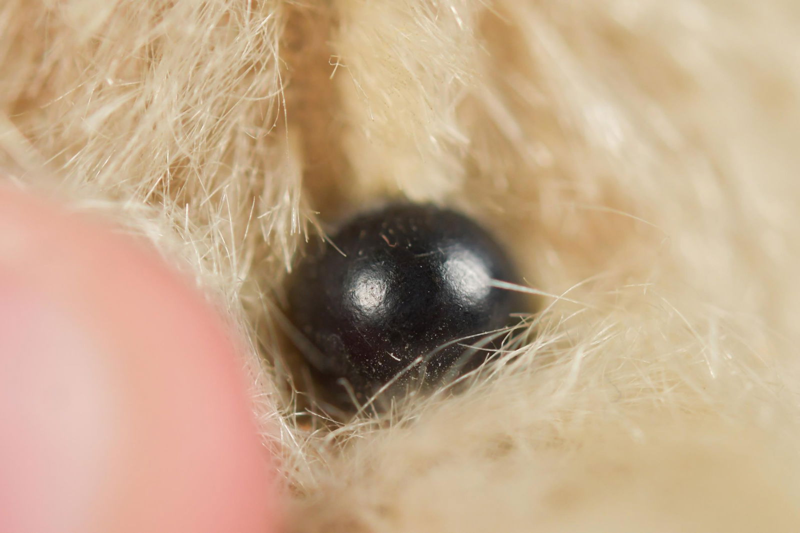 ANTIQUE STEIFF MOHAIR BEAR, BLANK BUTTON. - 13