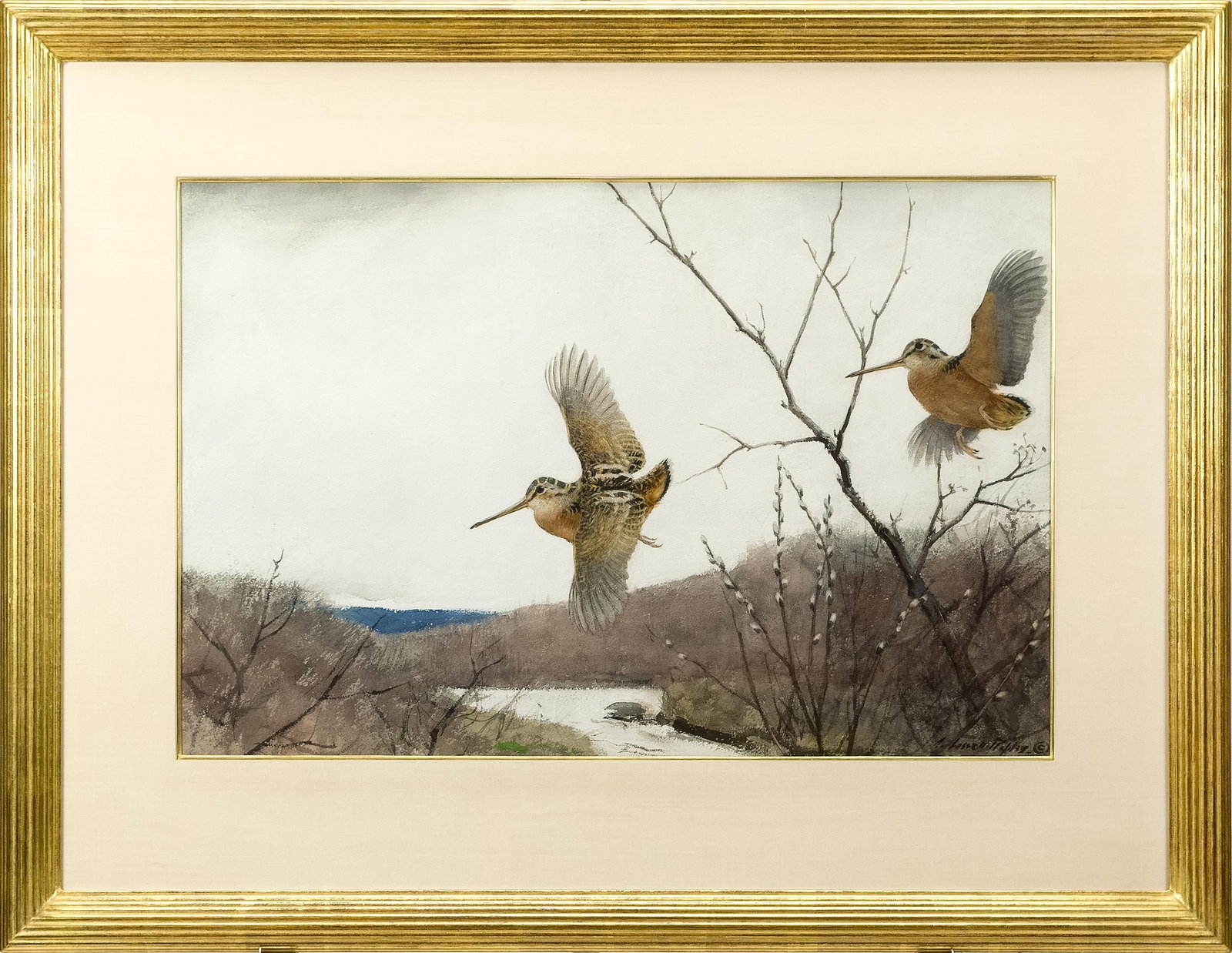 AIDEN LASSELL RIPLEY WATERCOLOR, FLYING WOODCOCK. (1 of 12)