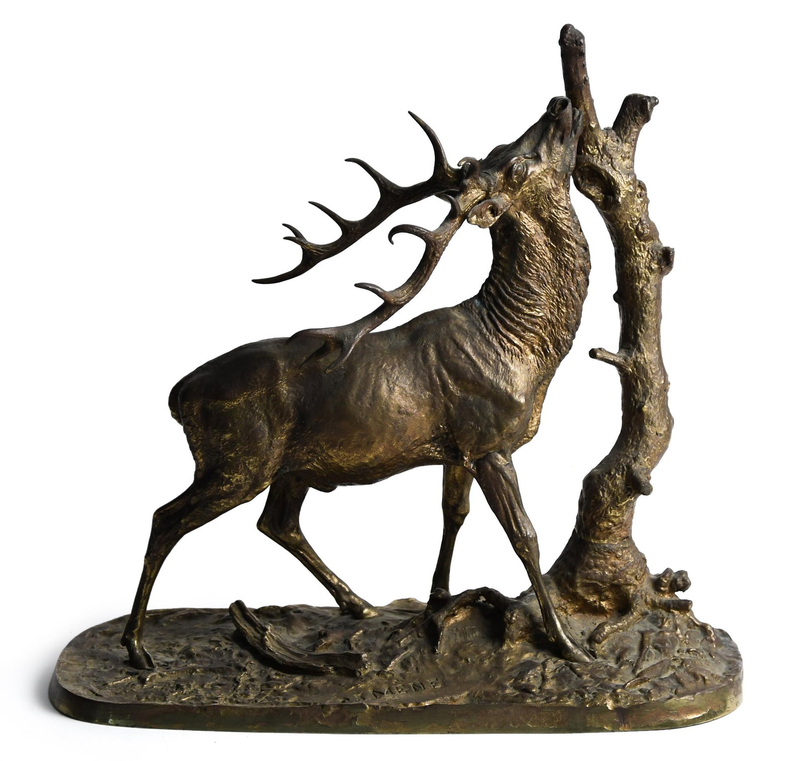PIERRE JULES MENE BRONZE, ELK.: A fine 19th C. gilt bronze, elk by a tree trunk, signed PJ Mene, 15”H x 15”L x 6”D.