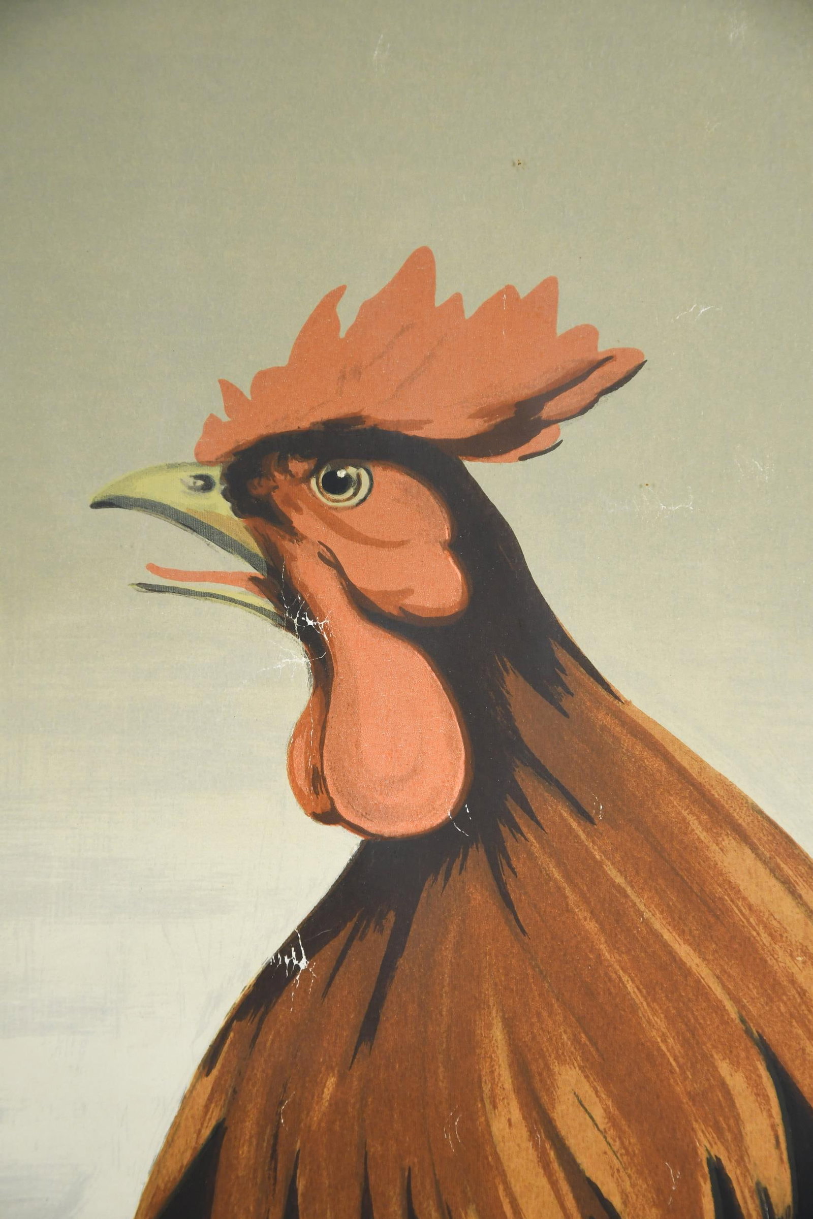 VINTAGE ROOSTER SERIGRAPH. - 2