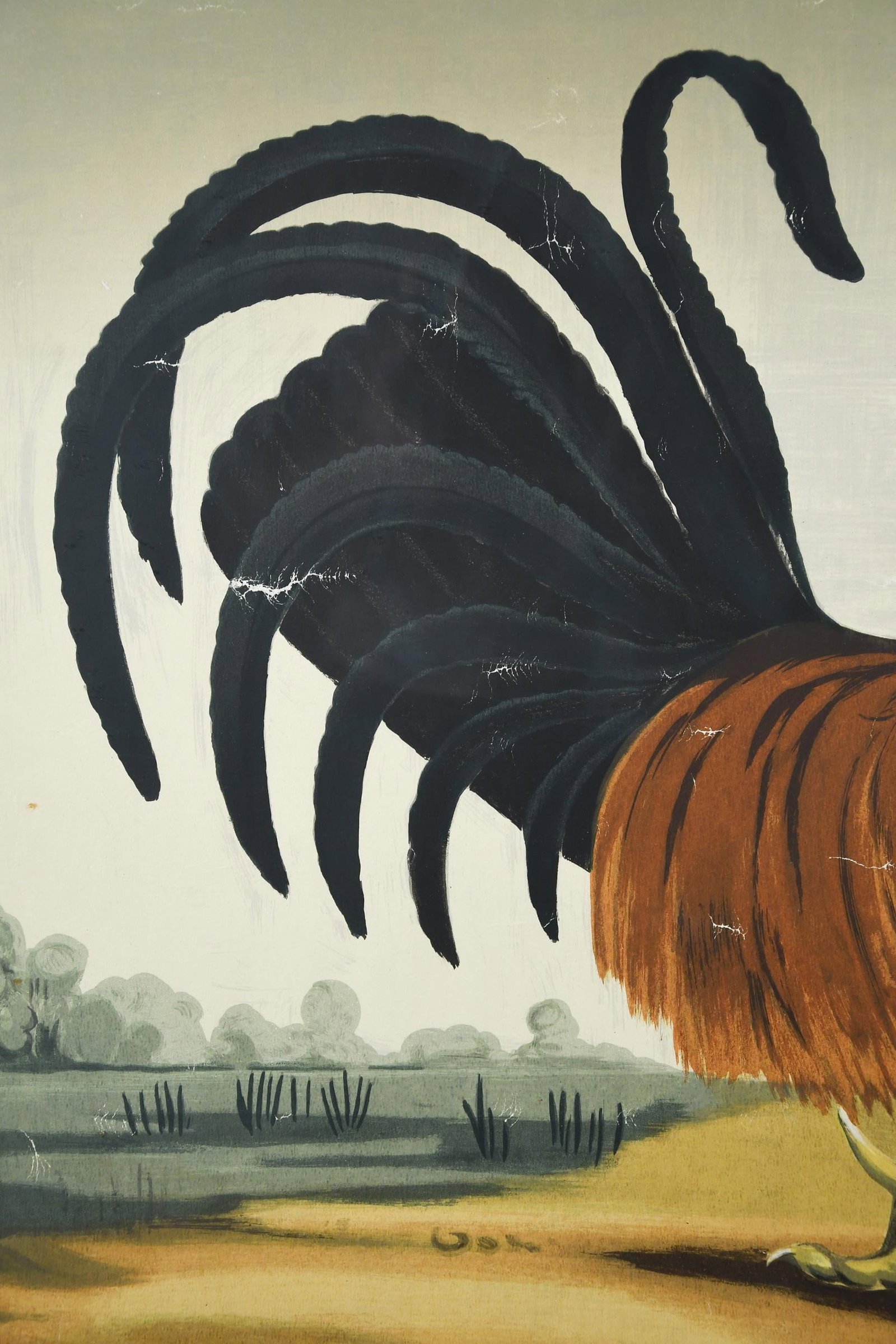 VINTAGE ROOSTER SERIGRAPH. - 3