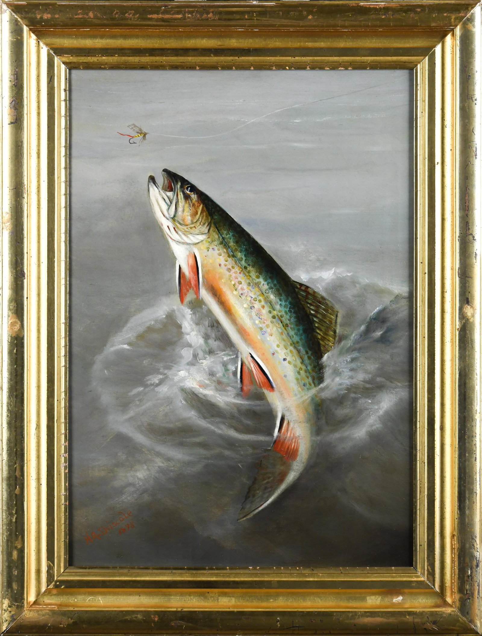 1898 HARRY DRISCOLE OIL, LEAPING RAINBOW TROUT.: Harry Driscole (1861-1923) oil on canvas, a leaping rainbow trout after a tied fly, signed lower left H.A. Driscole 1898. Image 20” x 14”, Frame 24” x 18”.