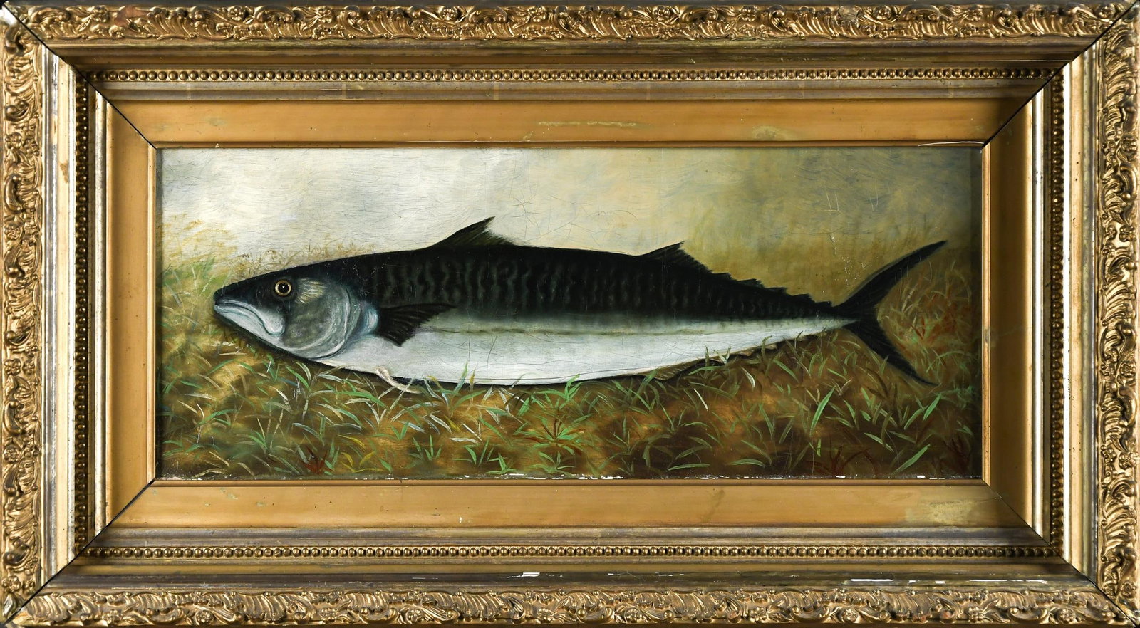 ANTIQUE OIL, PROFILE OF A MACKEREL FISH.: An unsigned 19th C. oil on canvas, profile portrait of a Mackerel (fish), depicted in a natural environment with lake grass and open space. Image 8” x 20”, Frame 14” x 26”.