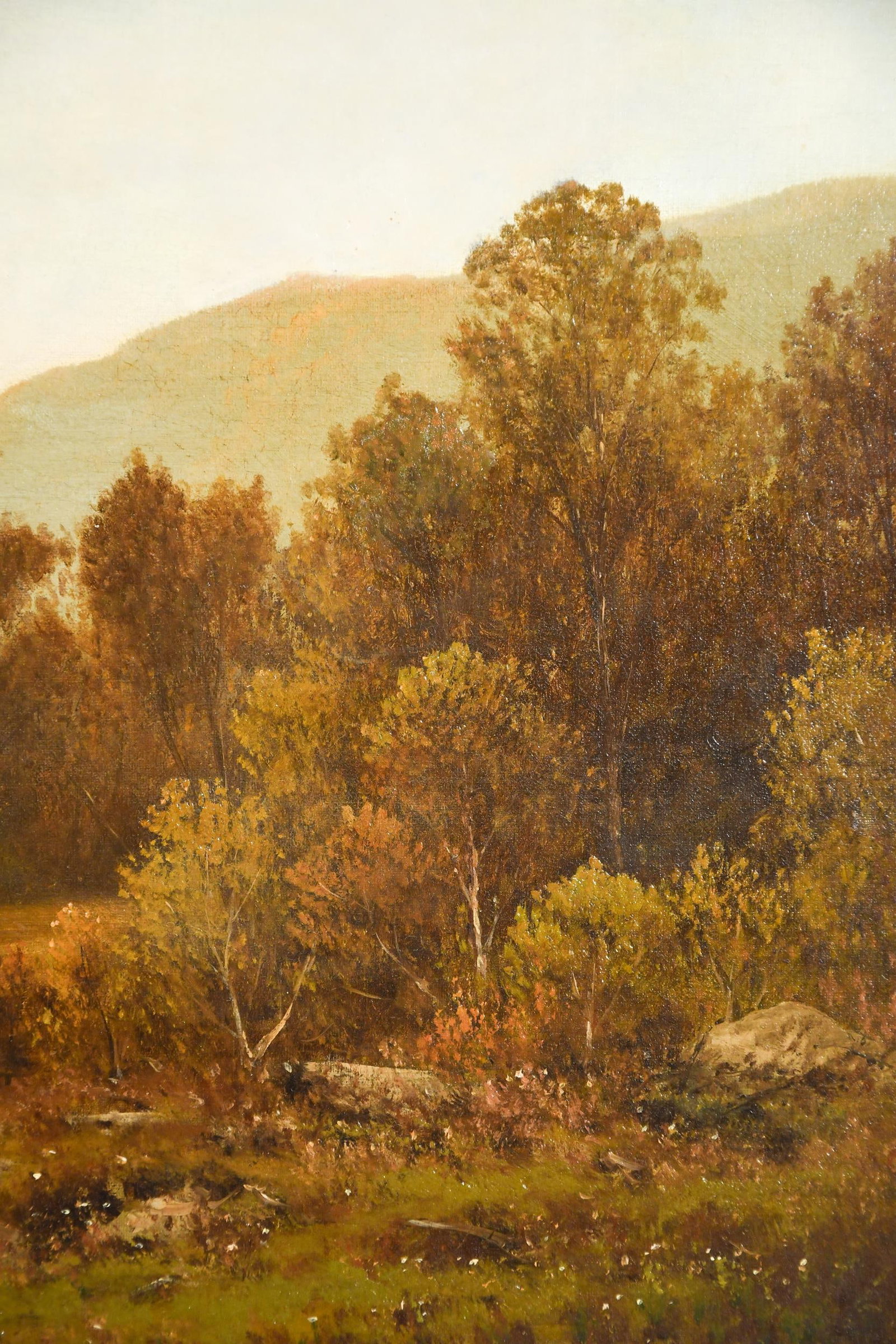 CHARLES WILSON KNAPP OIL, MT. WASHINGTON. - 6