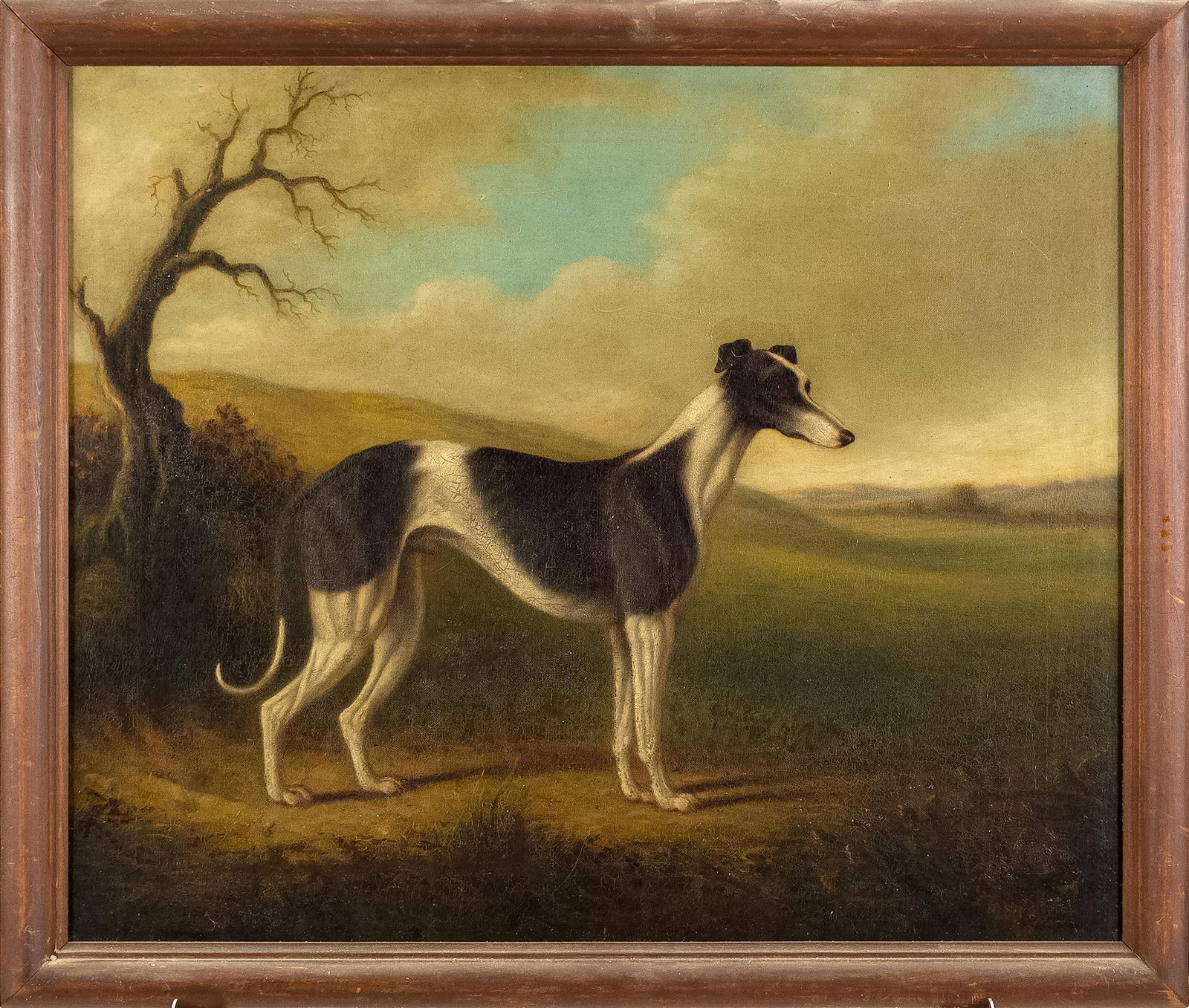 19TH C. OIL OF THE GREYHOUND COOMASSIE.: A 19th C. English oil on canvas portrait of a greyhound, identified as Coomassie. The black and white piebald hound shown standing in profile on a rise, alert with head turned to the right, a gnarled