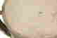 item-131603887=3