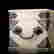 item-72588129=13