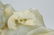 CHINESE WHITE JADE LANDSCAPE BOULDER, QING DYNASTY - 3