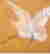 item-91317226=4