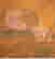 item-91317226=5
