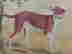 item-97156666=4