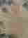 item-97156666=7