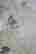 item-115145523=6