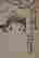 item-116940110=3