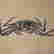 item-116944939=3