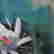 item-116944985=3