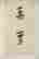 item-118745994=4