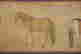 item-118746106=18