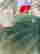 item-131272294=4