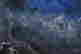 item-131272307=5