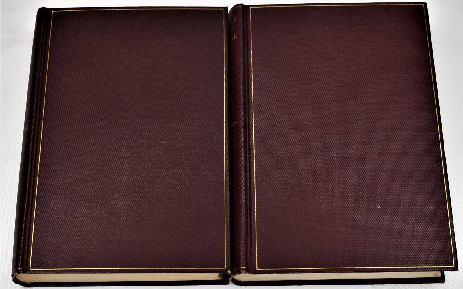 1894 Hawthorne, Nathaniel 2 Different Titles (1 of 7)