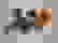 item-81981110=2