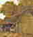 item-83191874=8