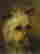 item-83192227=3