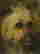 item-83192227=4