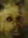 item-83192227=5