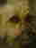 item-83192227=6