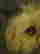 item-83192227=7
