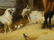 Horse Goat Chickens Dog Pig - 10