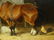 Horse Goat Chickens Dog Pig - 9
