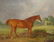 Chestnut Horse Highthyer - 3