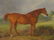 Chestnut Horse Highthyer - 4