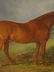 Chestnut Horse Highthyer - 6