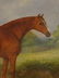 Chestnut Horse Highthyer - 7