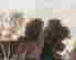 item-87497675=10