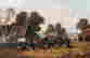 item-87497675=2
