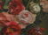 Still Life Red Pink White Roses Flowers - 9