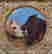 item-90536552=2