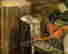 item-91571385=11