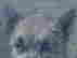 item-93369037=8